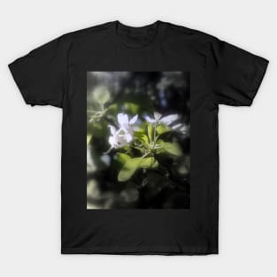 apple blossoms #6 T-Shirt